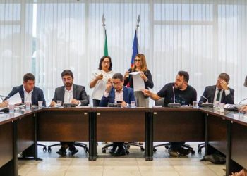 CCJ aprova parecer a projetos sobre política pública dos direitos e de atenção à saúde da mulher