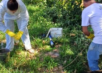 SEMAP e SEMA avaliam tratamento de efluentes em Paço do Lumiar