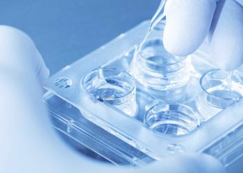 Mulher de 62 anos é autorizada a retirar esperma do marido que morreu