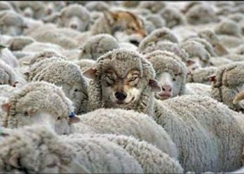 ARTIGO: Síndrome de Deus: A Agência da Farsa no Poder