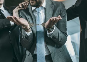 Artigo : Subserviência e Prevaricação: A Máquina da Vergonha e da Corrupção