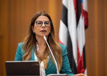 Fake news e misoginia política : o desafio das mulheres no cenário político do Maranhão