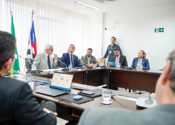 Assembleia e Academia Maranhense de Ciências debatem criação do Centro de Produção Intelectual na Educação Básica