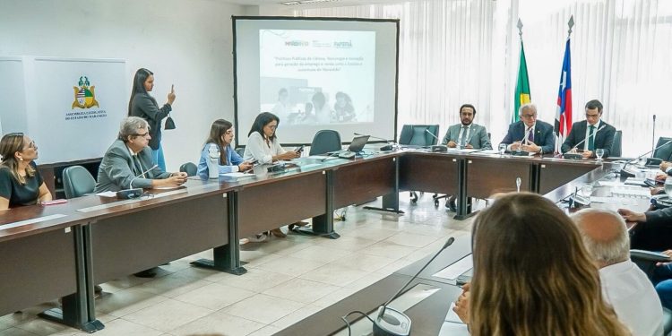 Comissão de Educação reforça debate sobre ciência e tecnologia no Maranhão