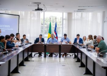 Comissão aprova parecer e impulsiona novo modelo ferroviário no Maranhão